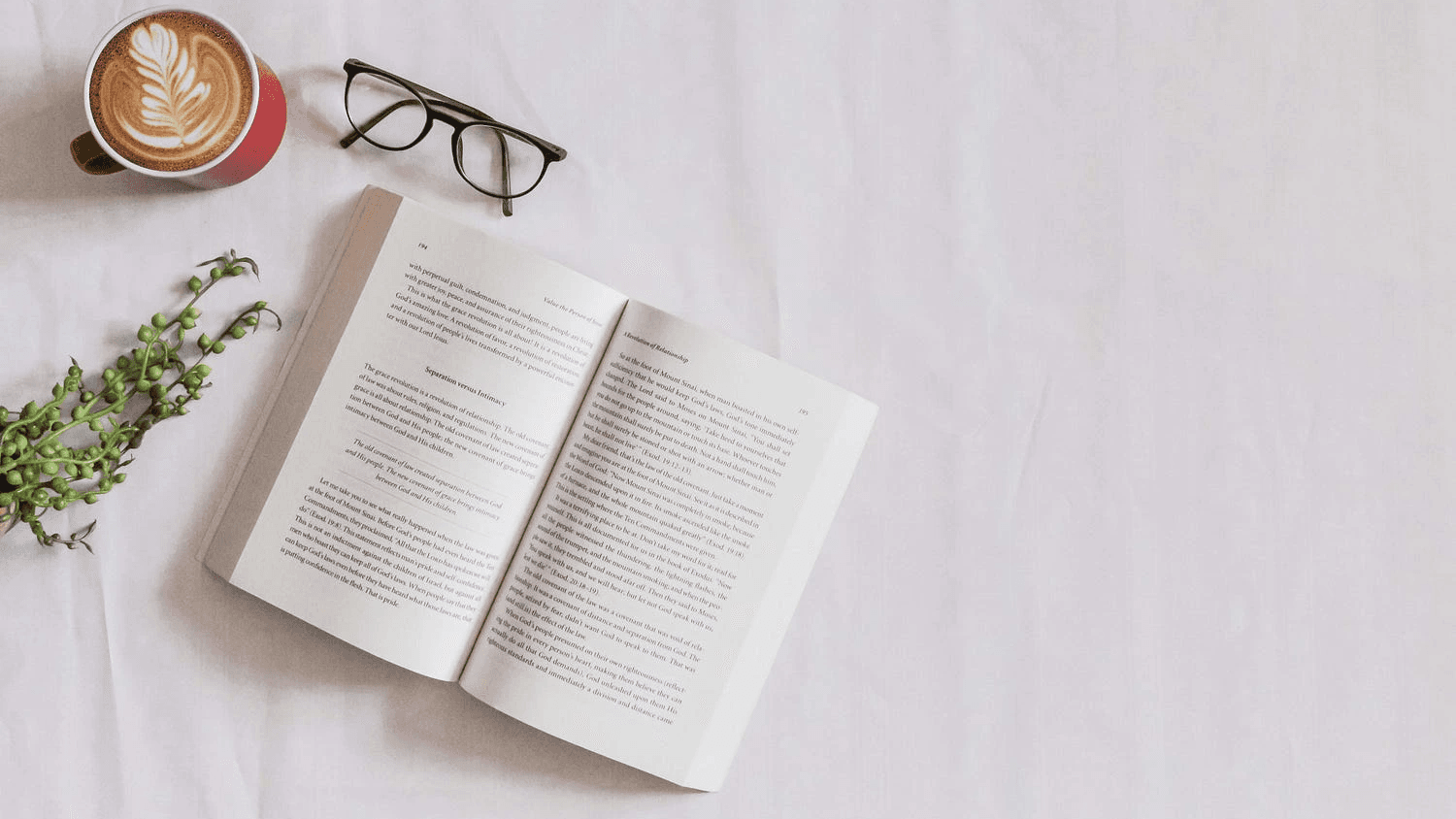 If the AI can't show you the page, it didn't read it