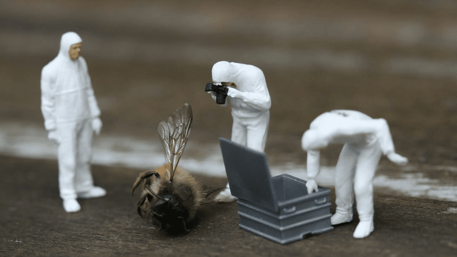 Build an Autonomous Bug-Fixing Agent with GLM-5.2