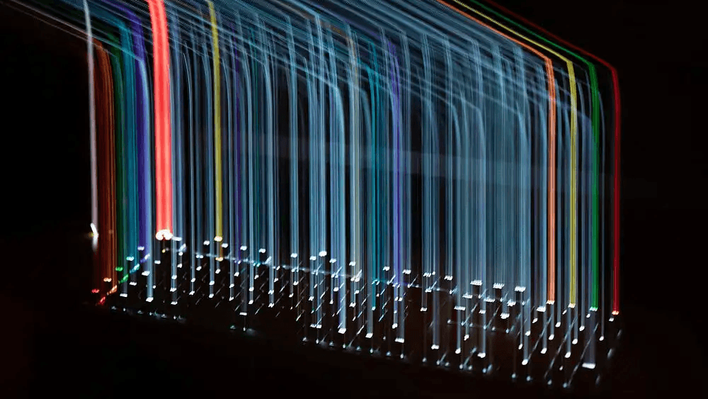 The data nobody ever queried